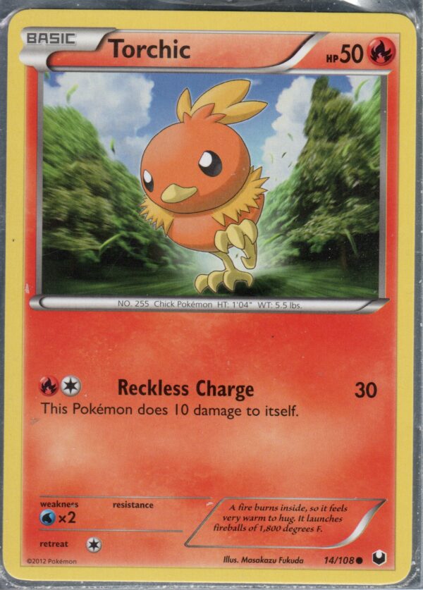 Torchic (BWDE-ENG-14)