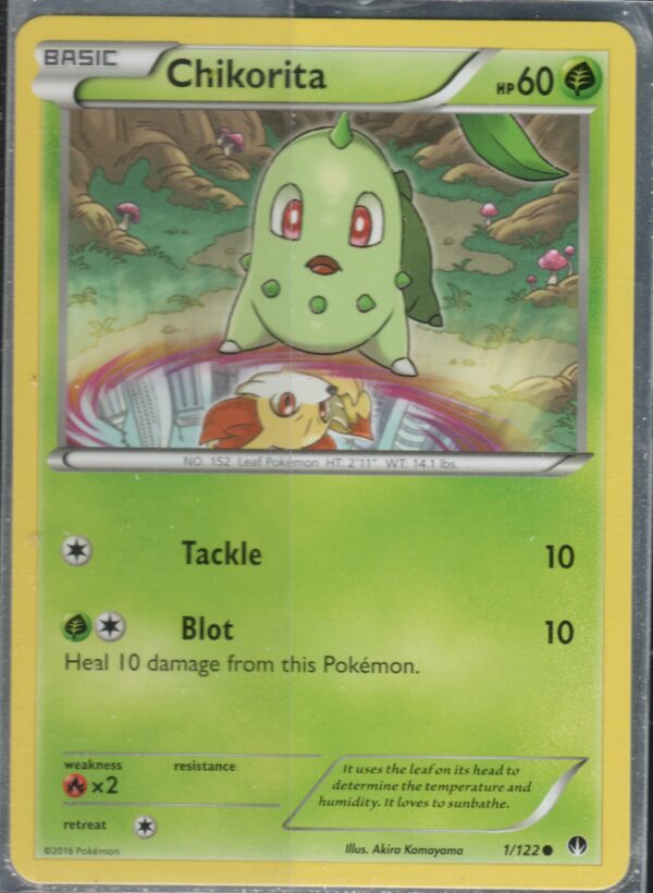 Chikorita (XYBRP-ENG-01)