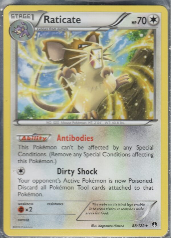 Raticate (XYBRP-ENG-88)